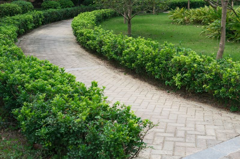 Decorative Paver Pathway